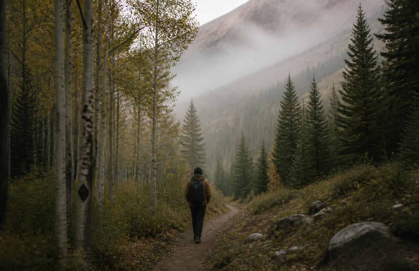 A person walking a mountain trail among aspen trees